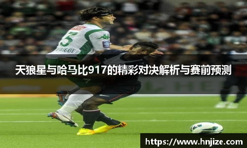 天狼星与哈马比917的精彩对决解析与赛前预测